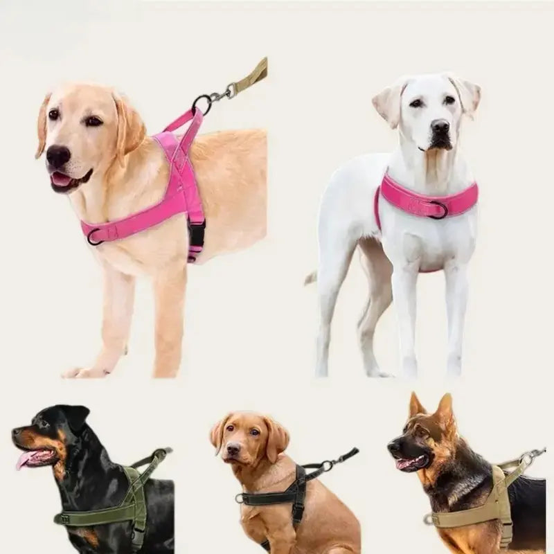Lightweight Nylon No-Pull Adjustable Straps Dog Harness - Chafe-Resistant, Secure Control, Quick Release Pet Vest with Reflective Accessory for Daily Walks, Camping (Solid, S/M Sizes, Fits Multiple Breeds)